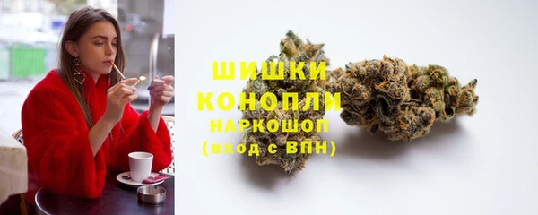 соль ск Строитель