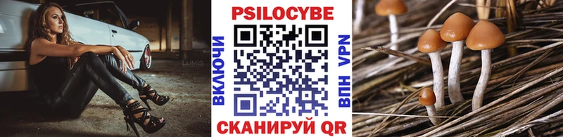 дарнет шоп Яранск Псилоцибиновые грибы мухоморы